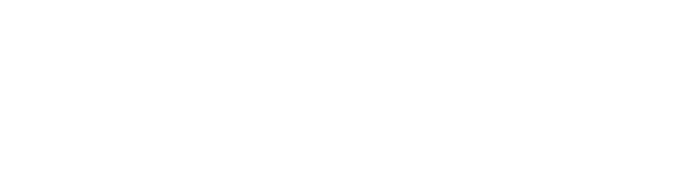 Logo de DANEW
